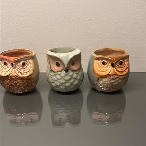 Charming Owl Ceramic Planters - Set of 3